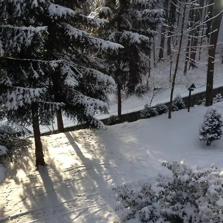 Decor Park Apartment