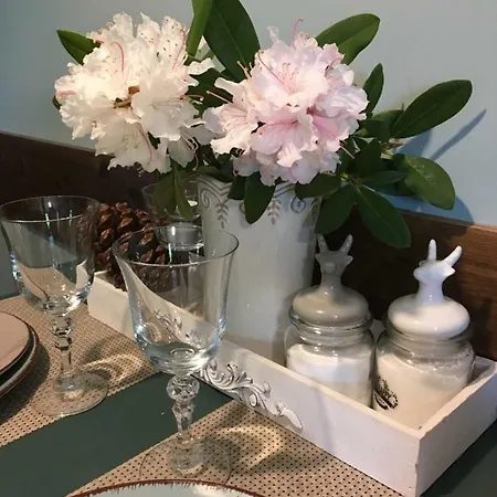 Decor Park 카르파츠