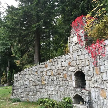 Decor Park 아파트 카르파츠