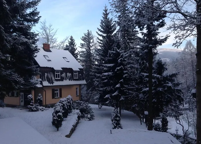 Decor Park Apartament *