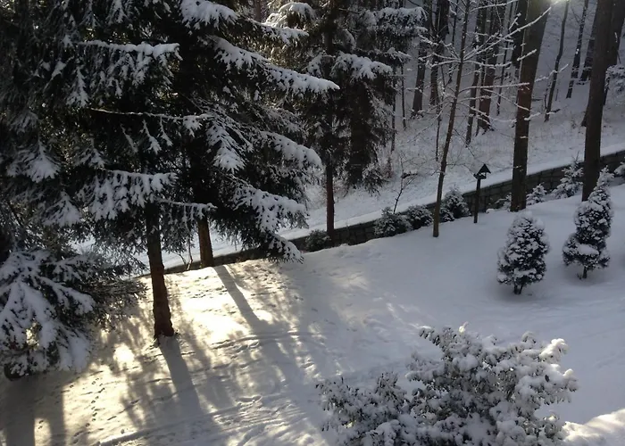 Decor Park Apartament